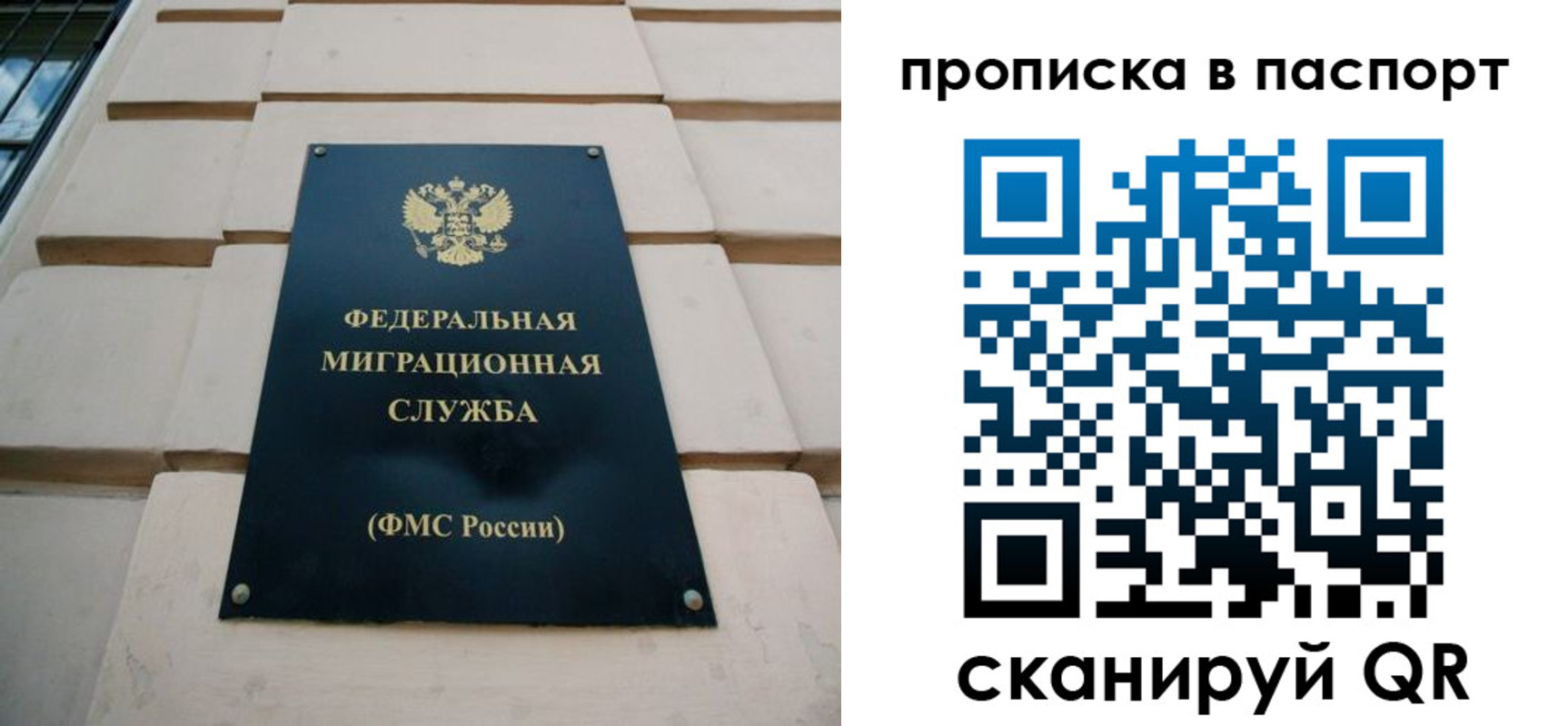 прописка для работы в Светогорске